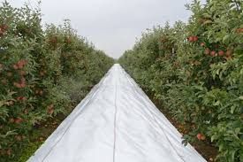 FOLIE AGROTEXTIL=ALBA 1.05x100m; 2.07x100m;GARANTIE 7-8ani; Aditivata