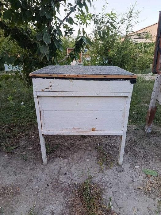 Асал ари учун яшиклар сотилади