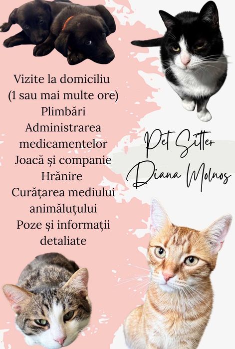 Pet sitter Diana Molnos