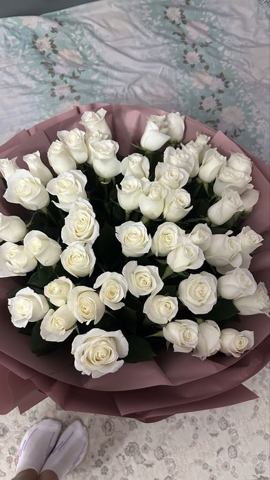 51 белые голландские розы
