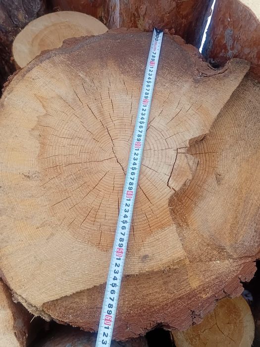 Кругляк снизили цены