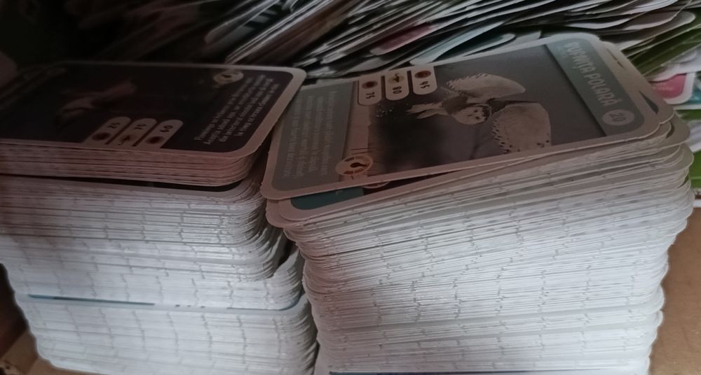 cartonașe Mega Image pentru colectie Expeditie in Jurul Lumii