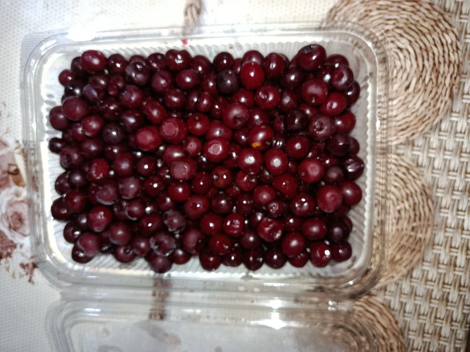 Muzlatilgan Olcha 30 min soʻm sifatiga javob