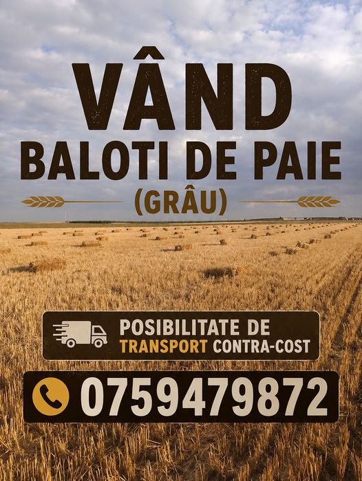 Vând baloți de paie (grâu)