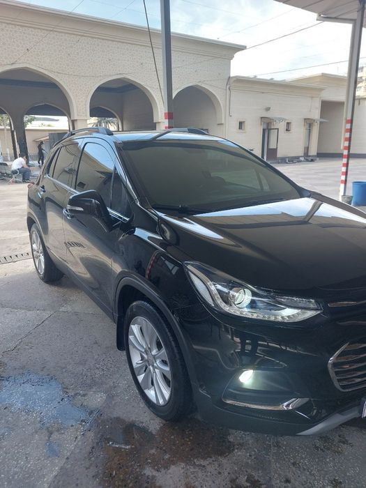 TRACKER premier 2019