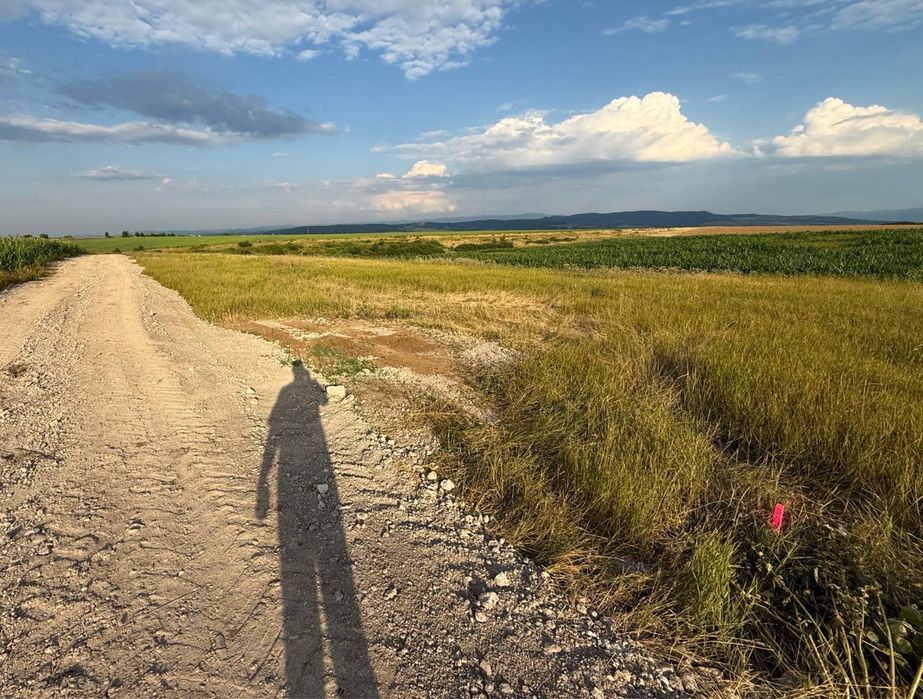 Teren pentru casa de vacanță/cabană Simeria