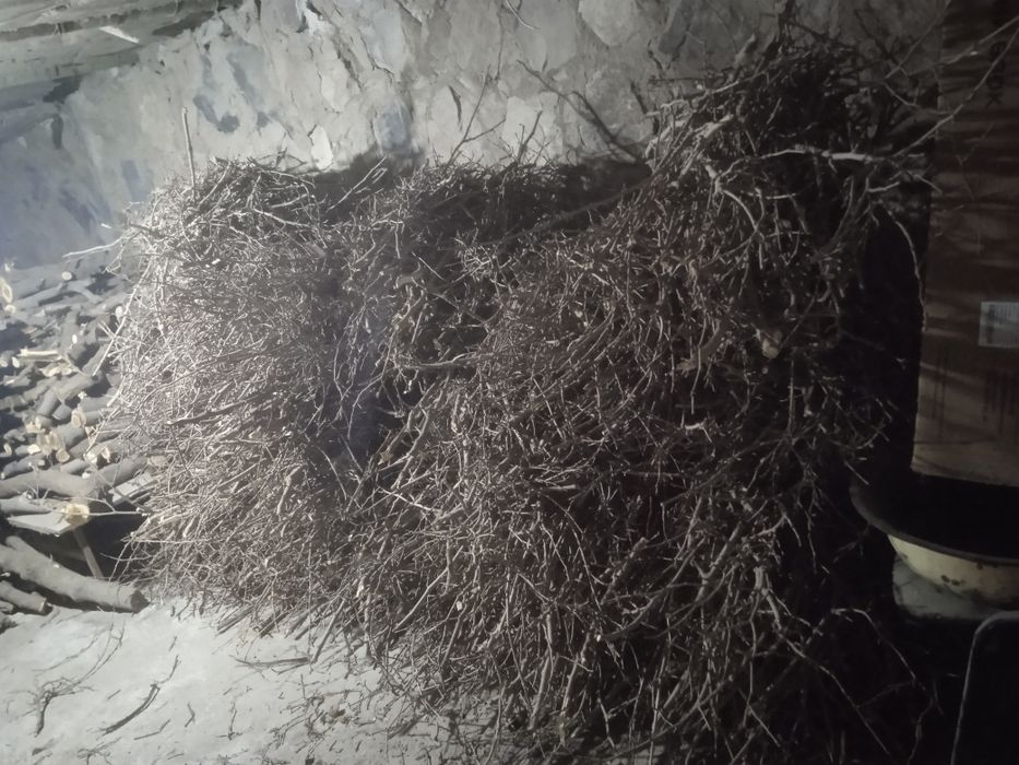 Tut Otinlar sotiladi