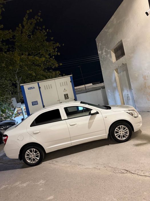 Cobalt 2025 yil gaz bor
