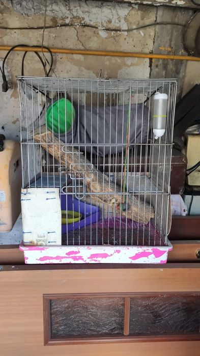 Клетка для птиц или хорька