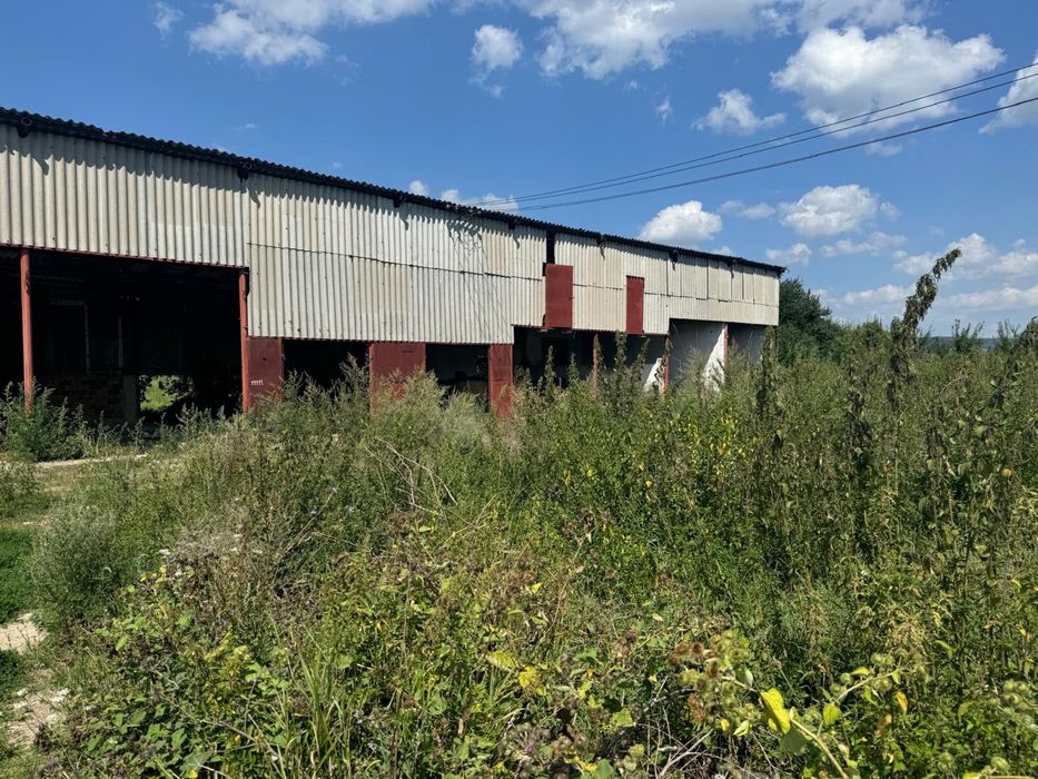 Se vinde proprietate industriala 13355 mp curti/constructii intravilan