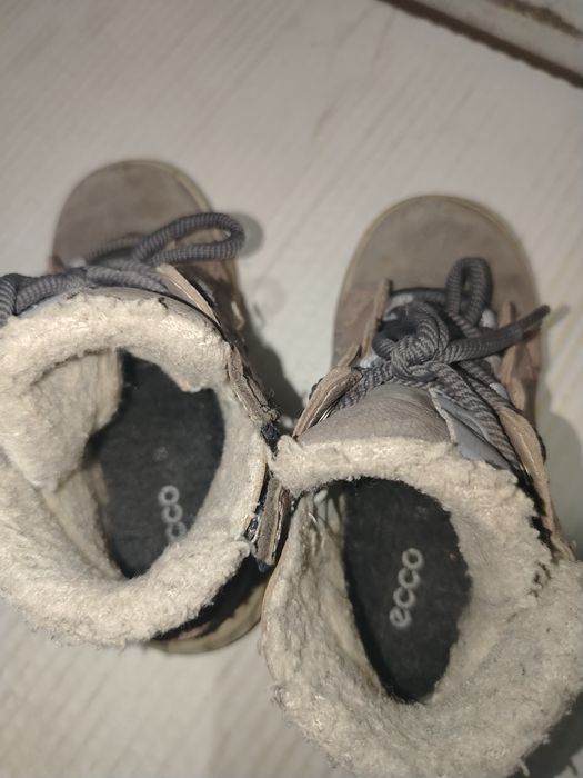 Отдам за шоколадку