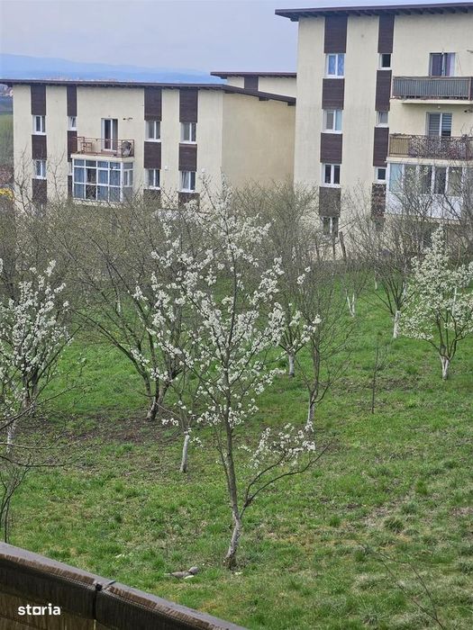 Apartament 2 camere open space + Pivnita | Ansamblul Panoramic Gardens