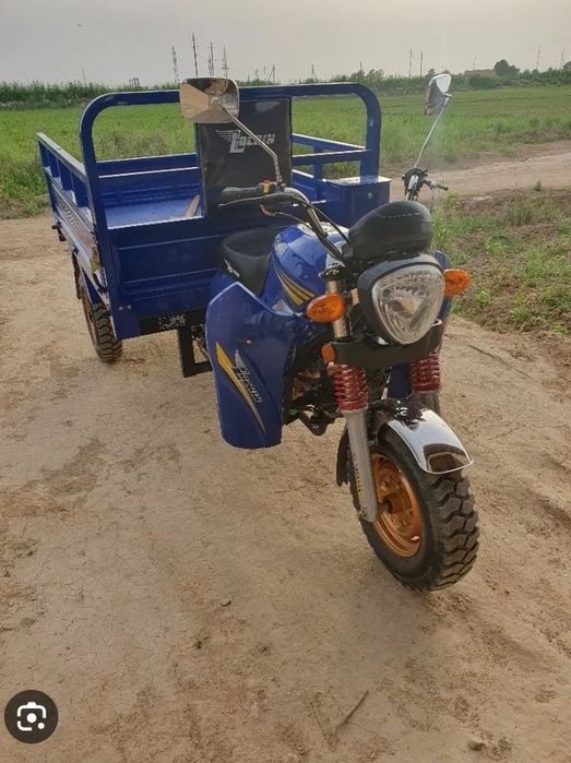 Elektira skutir yangi kredit