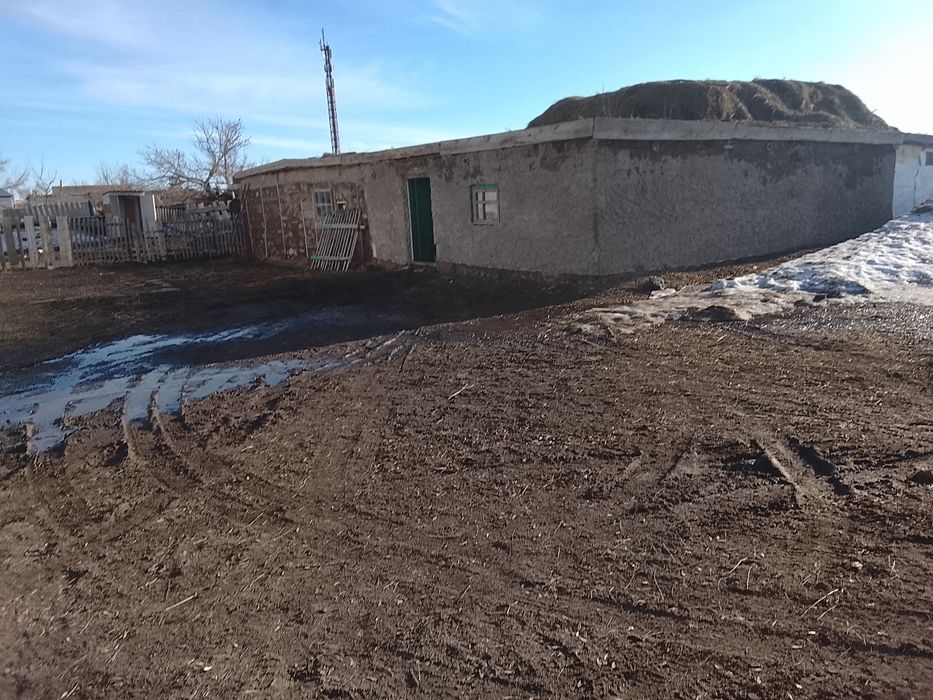 Продам дом в селе