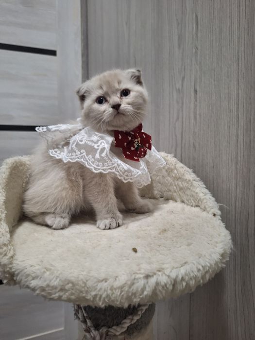 Чудо малышка с особенным характером