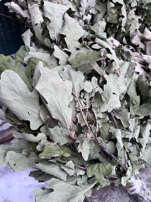 Веник для бани/сауны дубовый