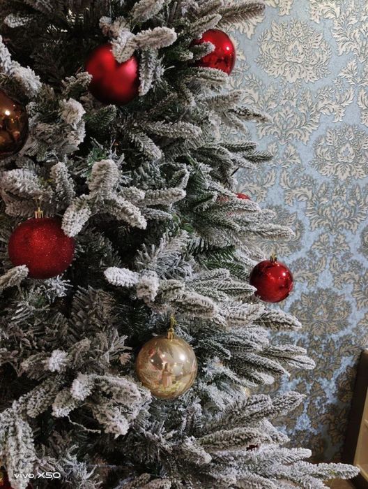 Ёлка северная снежная со склада