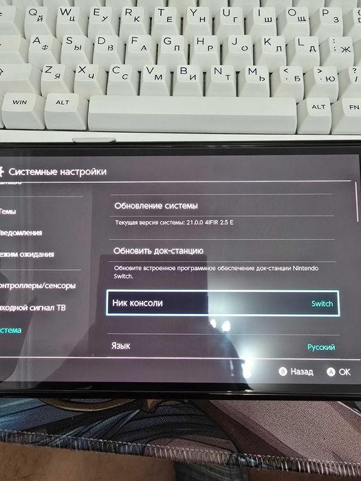 Nintendo Switch Oled Прошитый