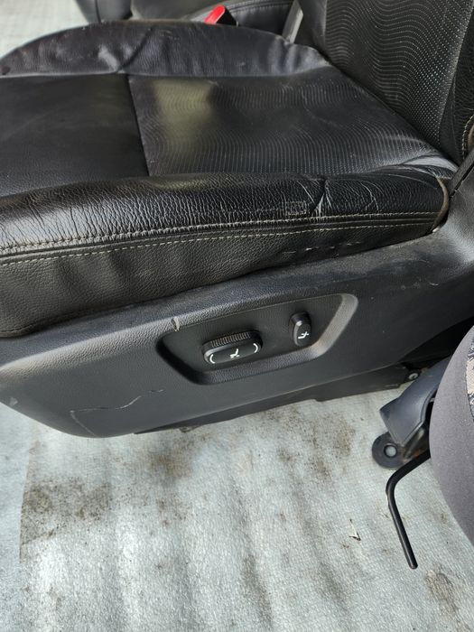 Sideniya kaptiva oldi