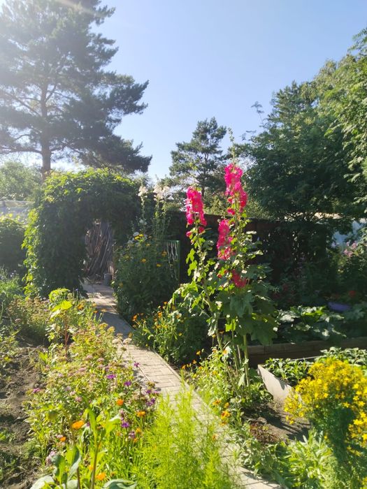 Продам дачу общесво»Эврика»