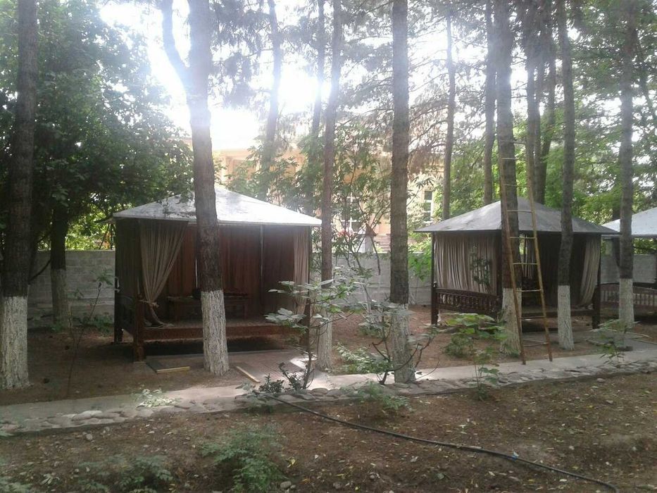 Предлагаем на продажу дачный участок более 50 соток в Тузеле.