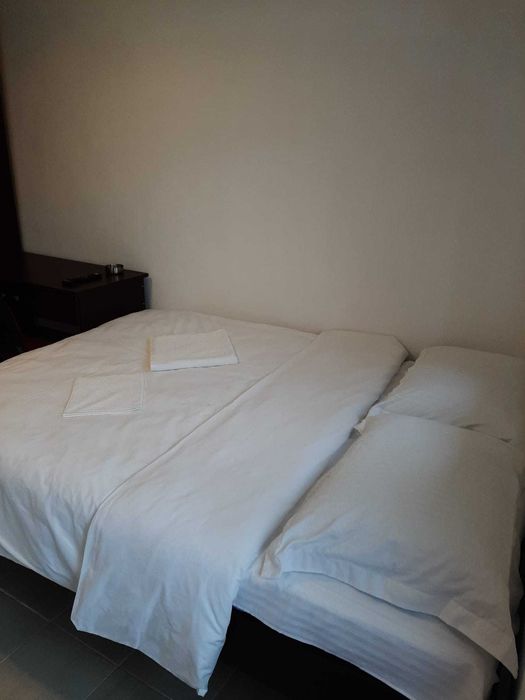 Cazare Vila Dionysos Brasov /regim hotelier/muncitori
