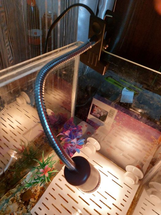 Светильник для террариума