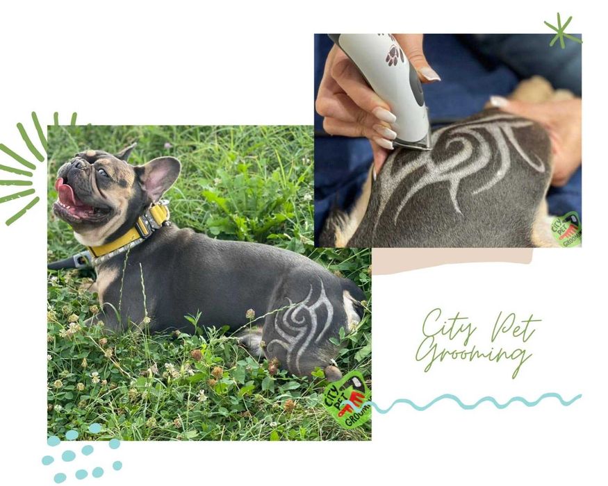 Tuns caini pisici Bucuresti -P Muncii   -sect 2 frizerie canina