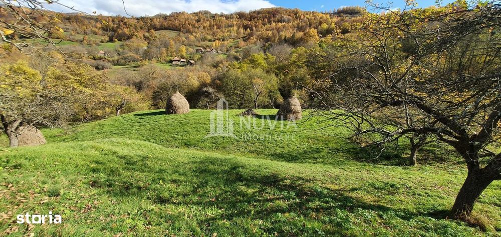 Teren extravilan,7000 mp,Salciua de Jos