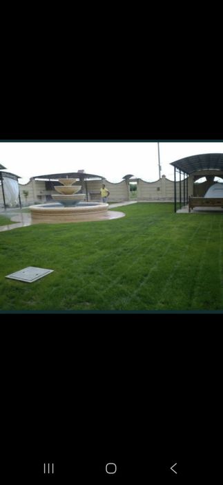 Акция на рулонный газон  до 15 октября.