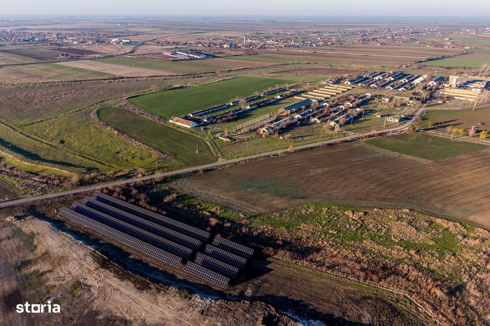 NĂDLAC | Teren 1.15 HA lângă Autostradă | 2.500mp Hale