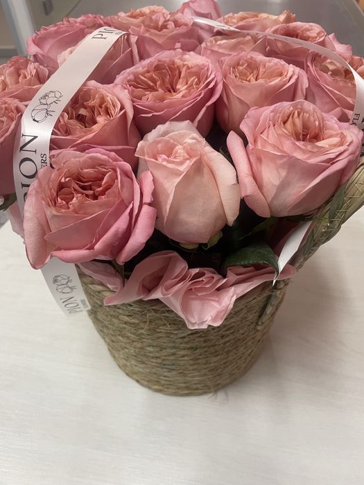 Pione flowers perfect