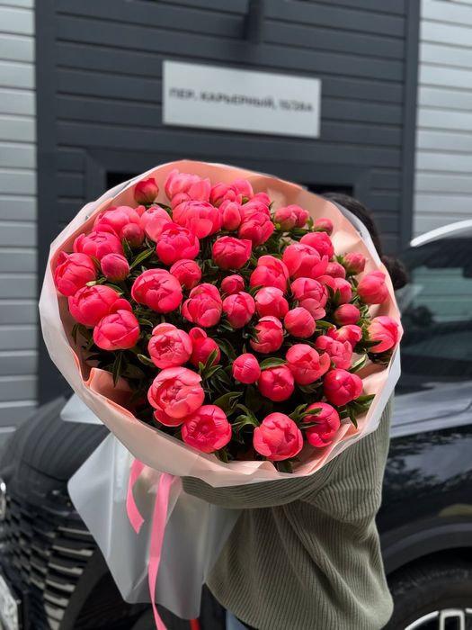 Пионы крупные голландские