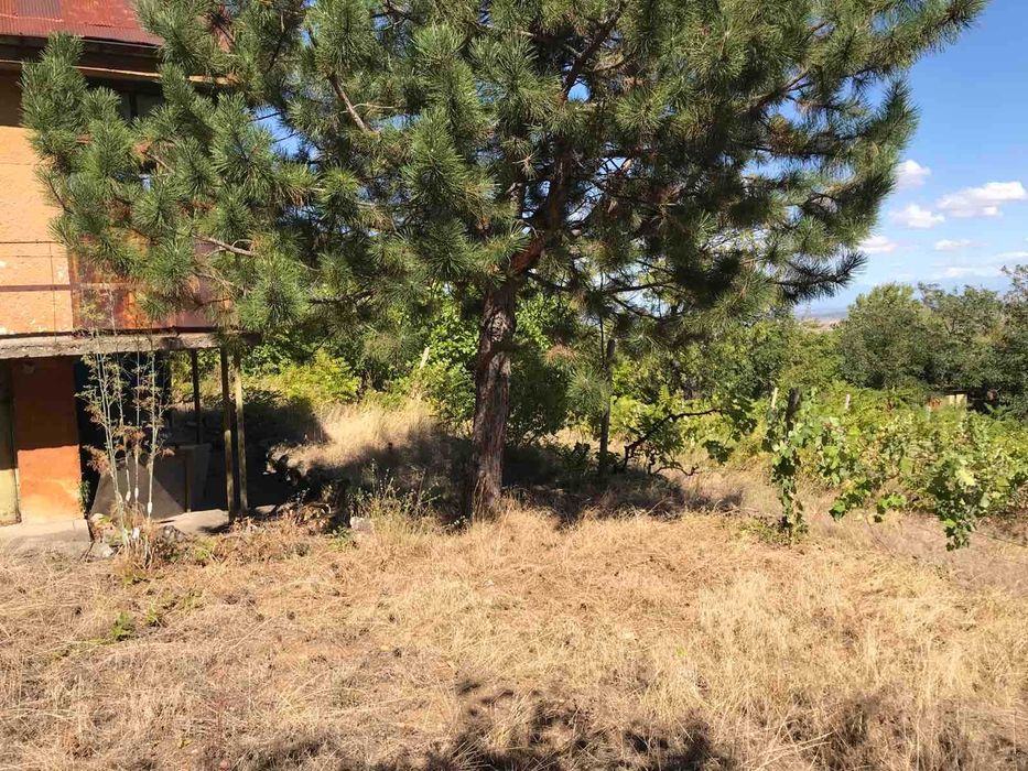 Продава се Парцел в Асеновград - 2038 кв.м за 13 €/кв.м - Снимка #3