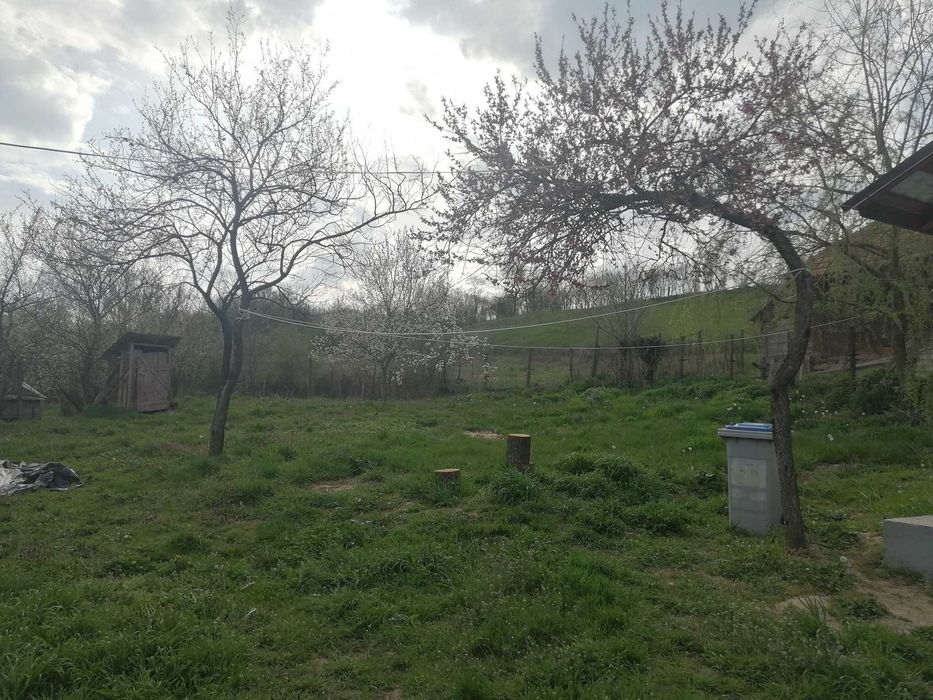 PF-Casa renovata in centru Sanmihaiul Almasului,97mp utili,900mp teren