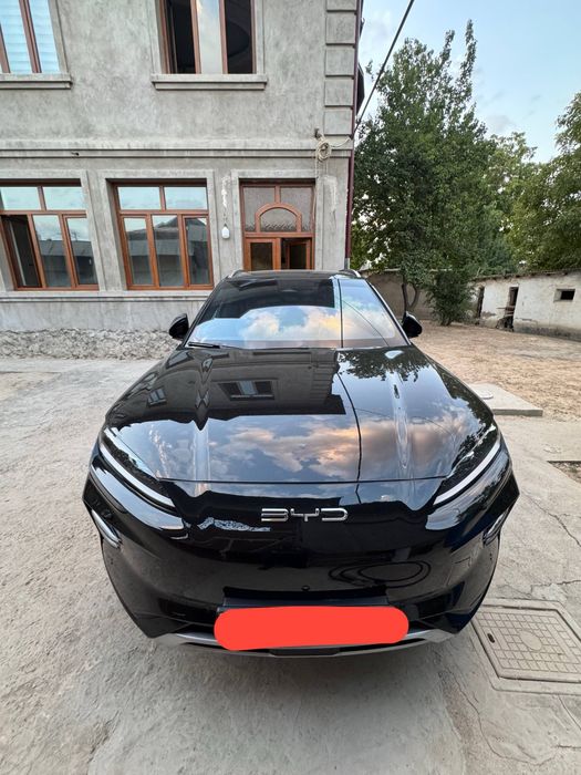 byd chempion 2024
