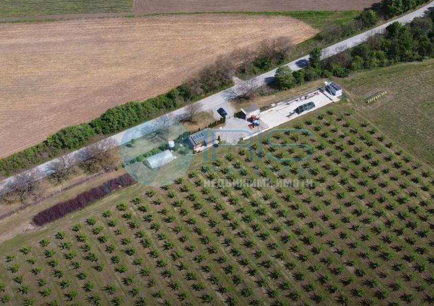 Продава се Земеделски имот в с. Осмар, Област Шумен -  кв.м за 4330 €/дка - Снимка #8