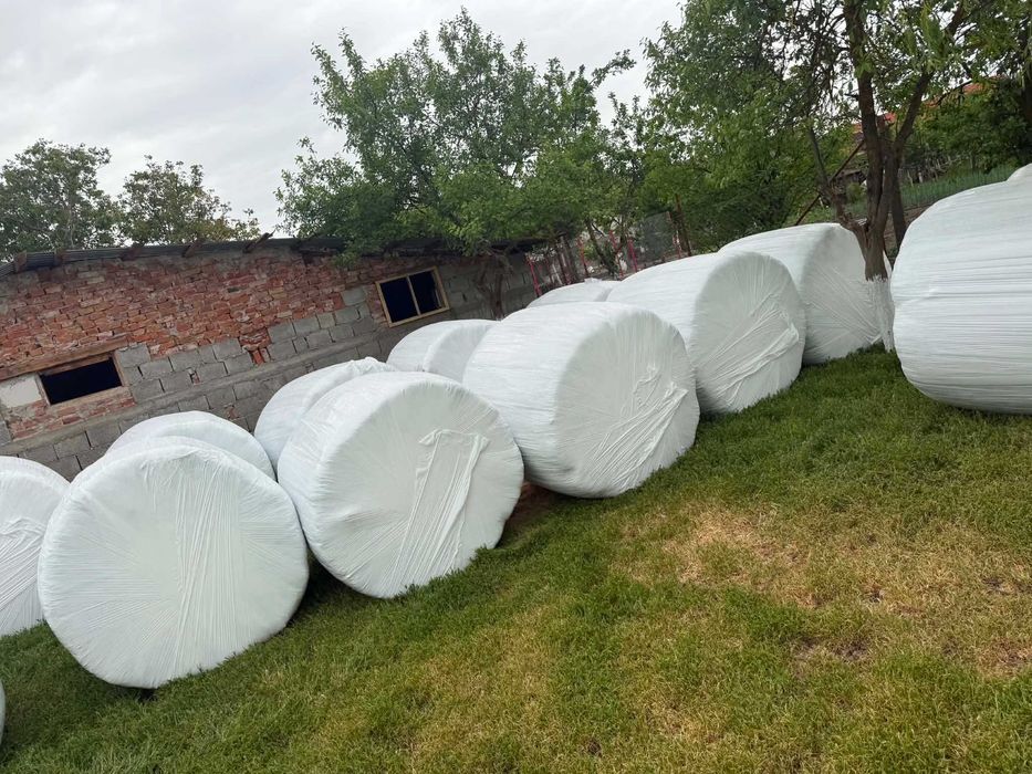 Baloti înfoliați de lucernă