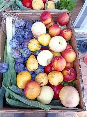 Cosul cu legume si fructe / Livrare GRATUITA in Bucuresti