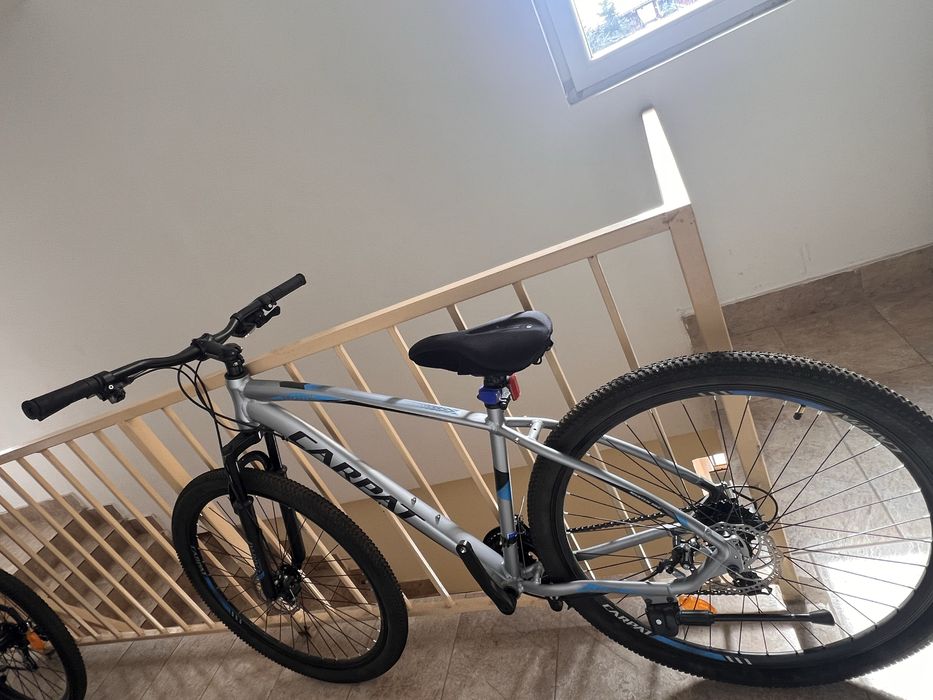 Bicicleta Carpat 29”