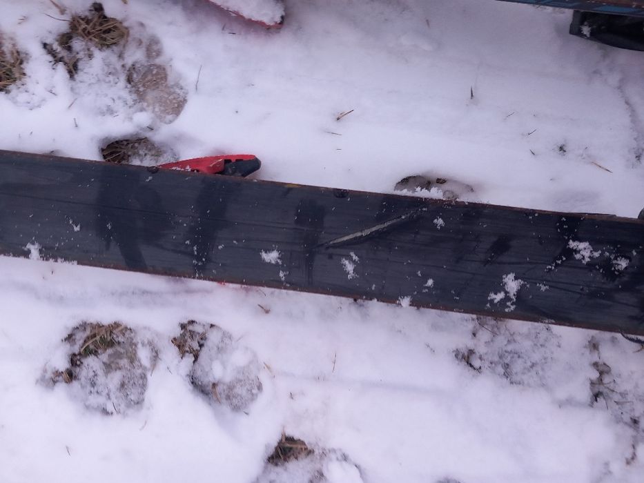 Schiuri Fisher RC 4 vacuum