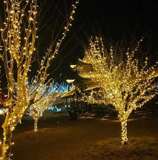 ЛЕД Украса в синьо разнообразие от модели от 1 до 115лв