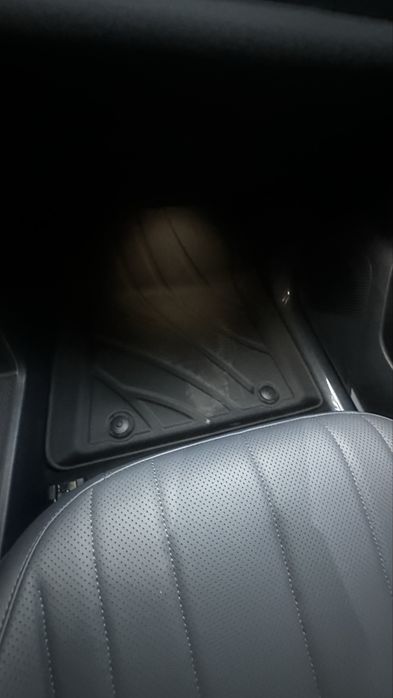 Полик на Geely Galaxy EX5 EM-i