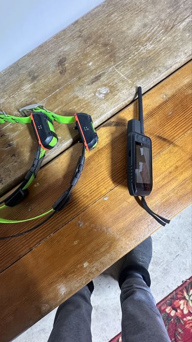 Garmin ошейник и пульт