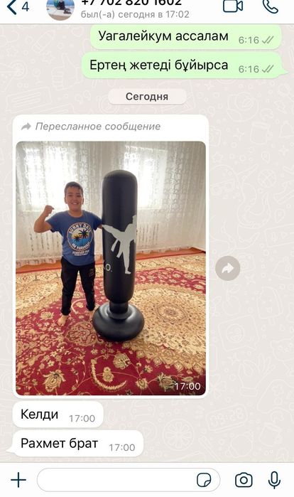 Боксерская груша.  Чемпионский Набор