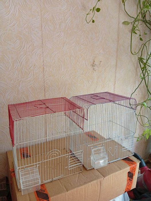 Клетки для птиц.