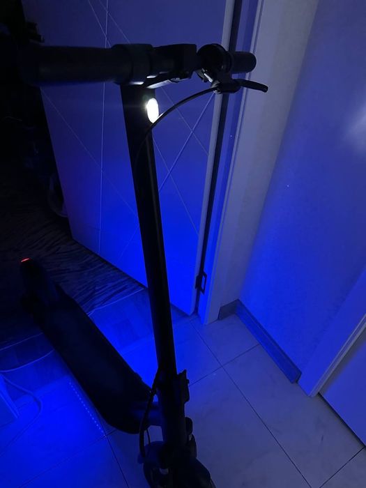 Kechte Max Samokat 10dyum