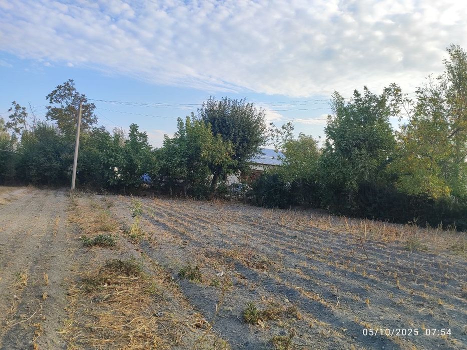 uchaska hovli jomboyda