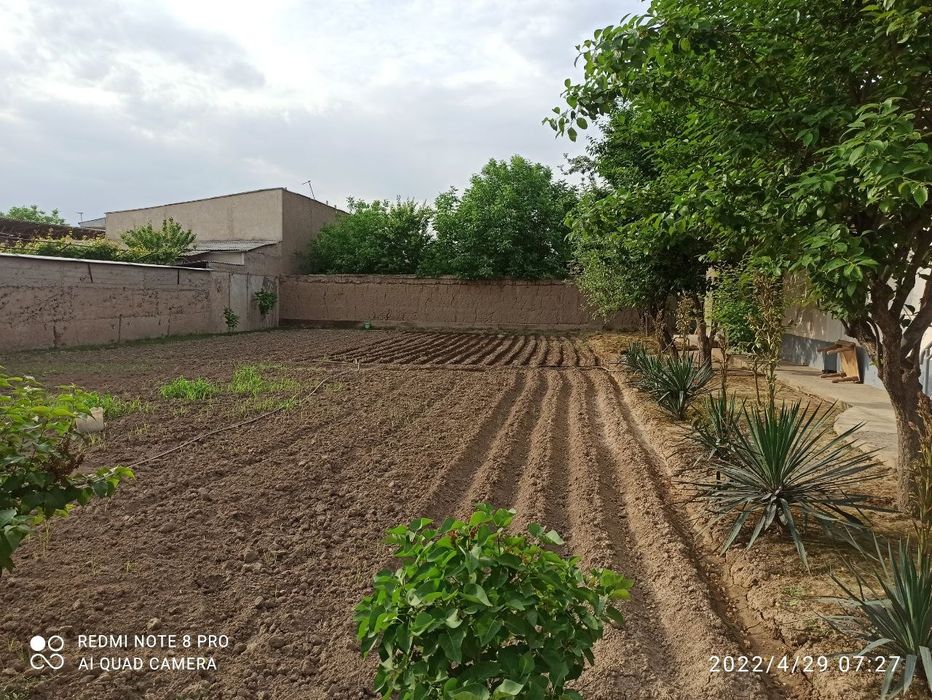 Йер сотилади Тошкент тумани (16 йиллик) 5 сотих