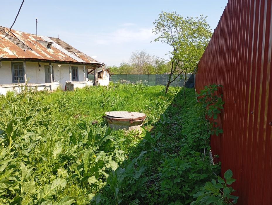 Teren 2x450 mp cu utilitati si casa DN1 Ciolpani URGENT